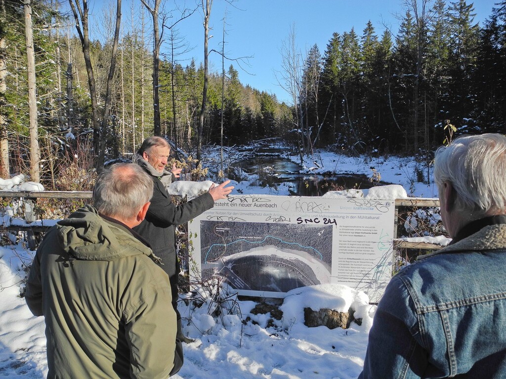 Besichtigung Auenbach beim Ickinger Wehr (Foto von Stephan Bammer am 23.11.2024)