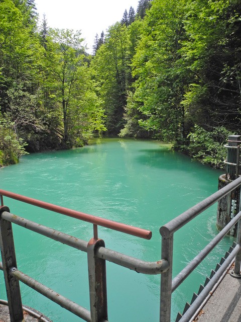 20230529 Alpenbachabsperrung (Foto von Stephan Bammer vom 29.05.2023)