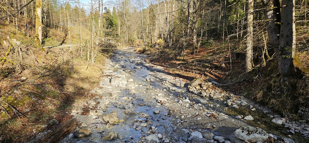 20250419_084718 kl: Alpenbach unterhalb des Wehrs nach Zufluss der Eibenlaine (Foto Christian Buchner vom 19.04.2025)