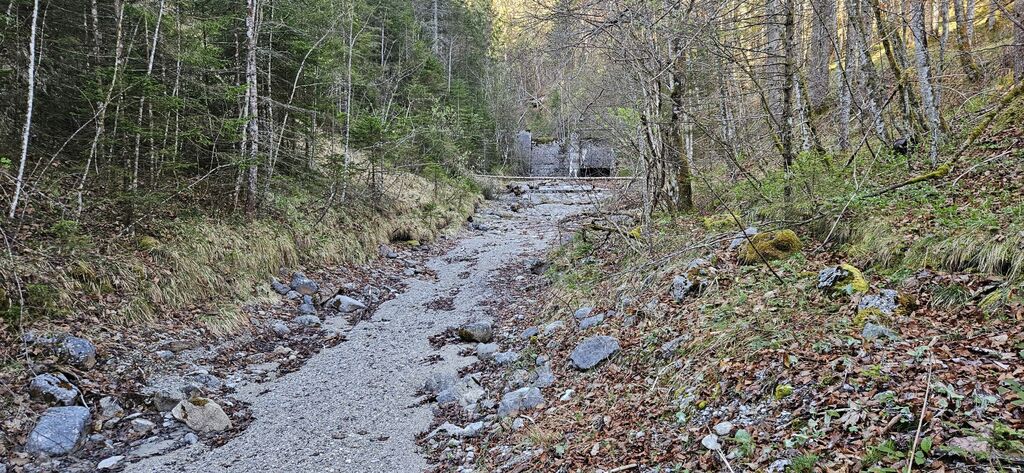 20250419_085009 kl: Ableitungswehr und trockener Alpenbach (Foto Christian Buchner vom 19.04.2025)
