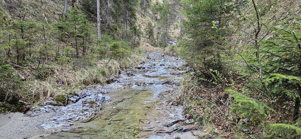 20250419_085711 kl: Alpenbach oberhalb Ableitungswehr (Foto Christian Buchner vom 19.04.2025)