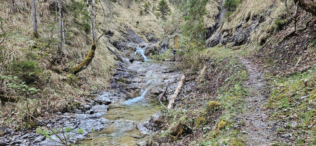20250419_085758 kl: Alpenbach oberhalb Ableitungswehr (Foto Christian Buchner vom 19.04.2025)