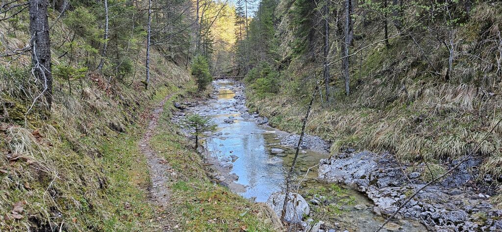 20250419_090020 kl: Alpenbach oberhalb Ableitungswehr (Foto Christian Buchner vom 19.04.2025)