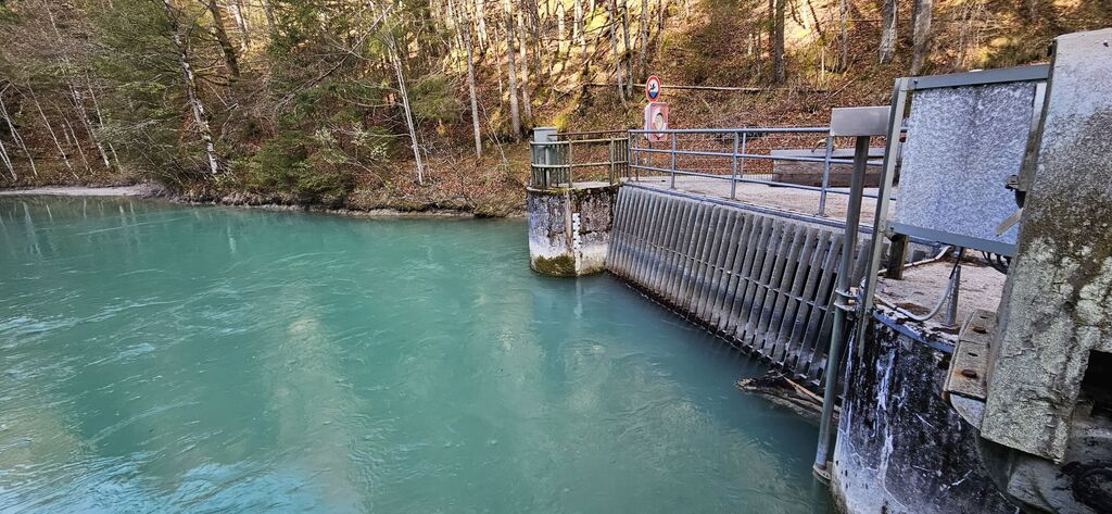 20250419_090559 kl: Ableitungswehr Alpenbach (Foto Christian Buchner vom 19.04.2025)