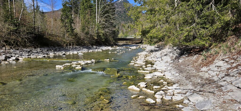 20250419_095634kl: Einmündung Obernachkanal in Walchensee bei Einsiedl (Foto Christian Buchner vom 19.04.2025)