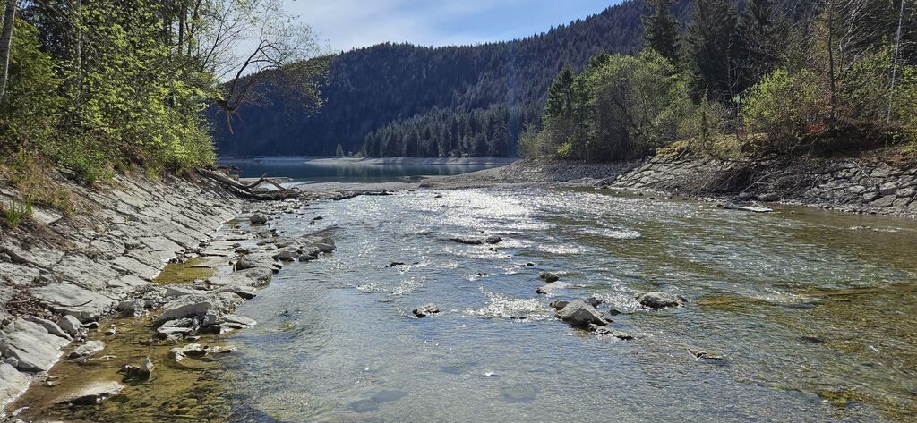 20250419_095640 kl: Einmündung Obernachkanal in Walchensee bei Einsiedl (Foto Christian Buchner vom 19.04.2025)