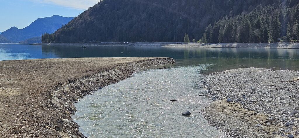 20250419_095818 kl: Einmündung Obernachkanal in Walchensee bei Einsiedl (Foto Christian Buchner vom 19.04.2025)