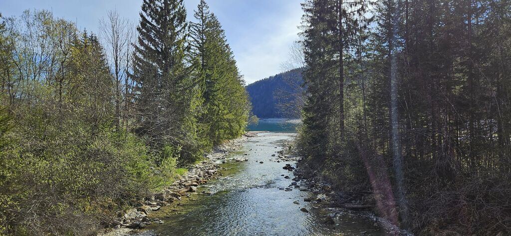 20250419_100140 kl: Einmündung Obernachkanal in Walchensee bei Einsiedl (Foto Christian Buchner vom 19.04.2025)