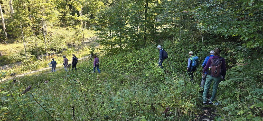 Exkursion rund um den Walchensee und Kochelsee (Foto Catherine Grist am 20.09.2025)