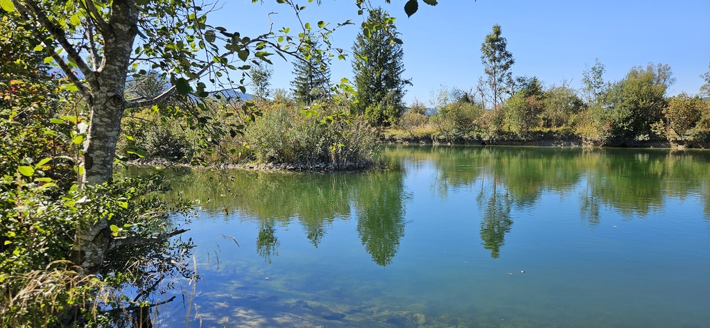 Exkursion rund um den Walchensee und Kochelsee (Foto Christian Buchner am 20.09.2025)